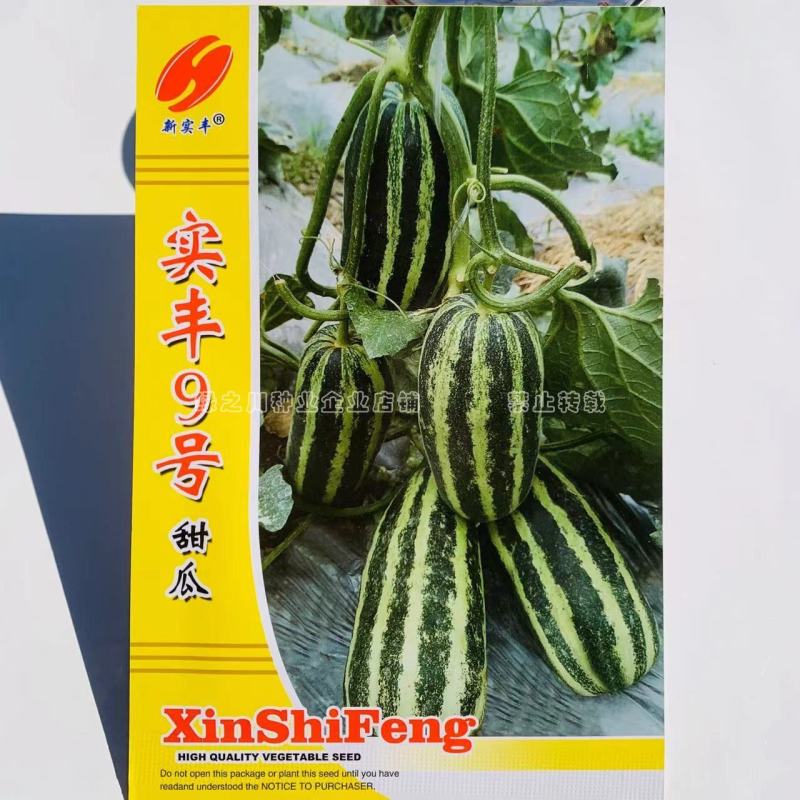 实丰9号甜瓜种子绿白花皮酥脆蜜甜甜瓜种籽抗病杂交一代种