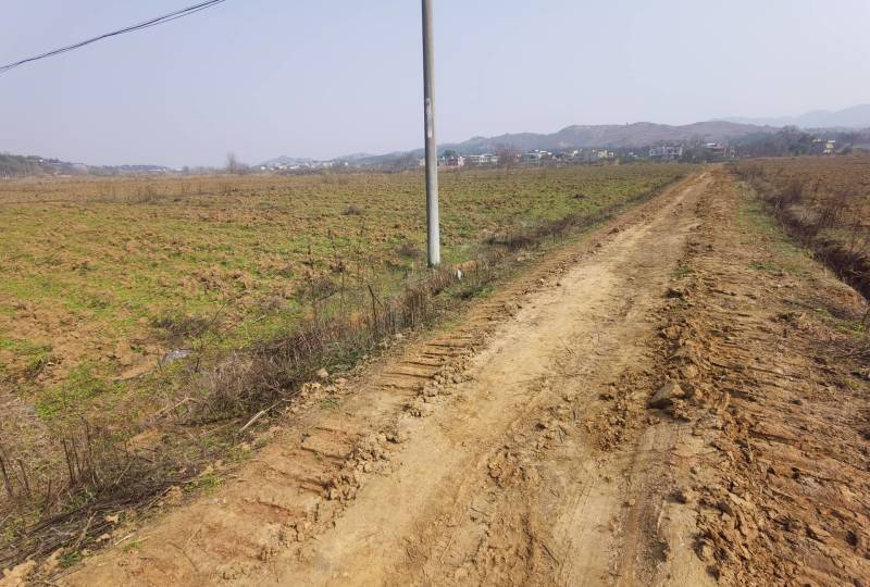 1800亩集体土地，大面积，水浇地，旱地出租流转