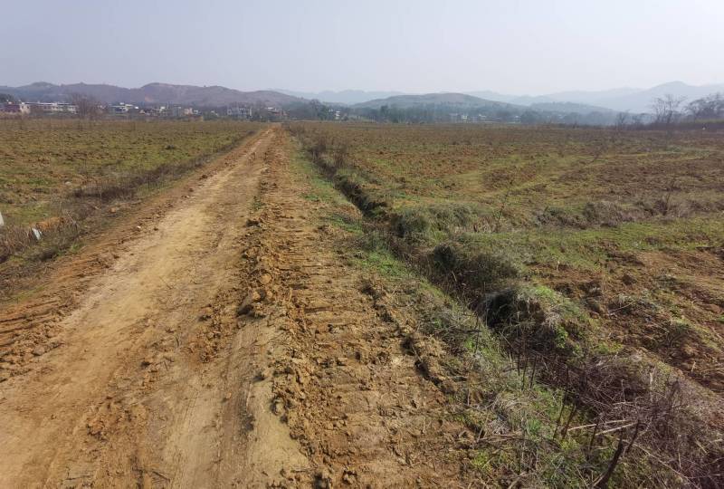 1800亩集体土地，大面积，水浇地，旱地出租流转