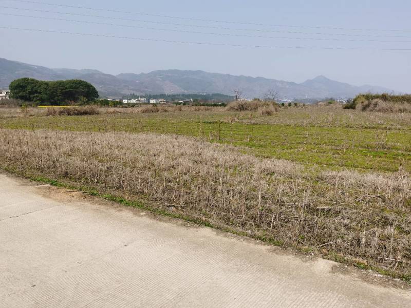1800亩集体土地，大面积，水浇地，旱地出租流转