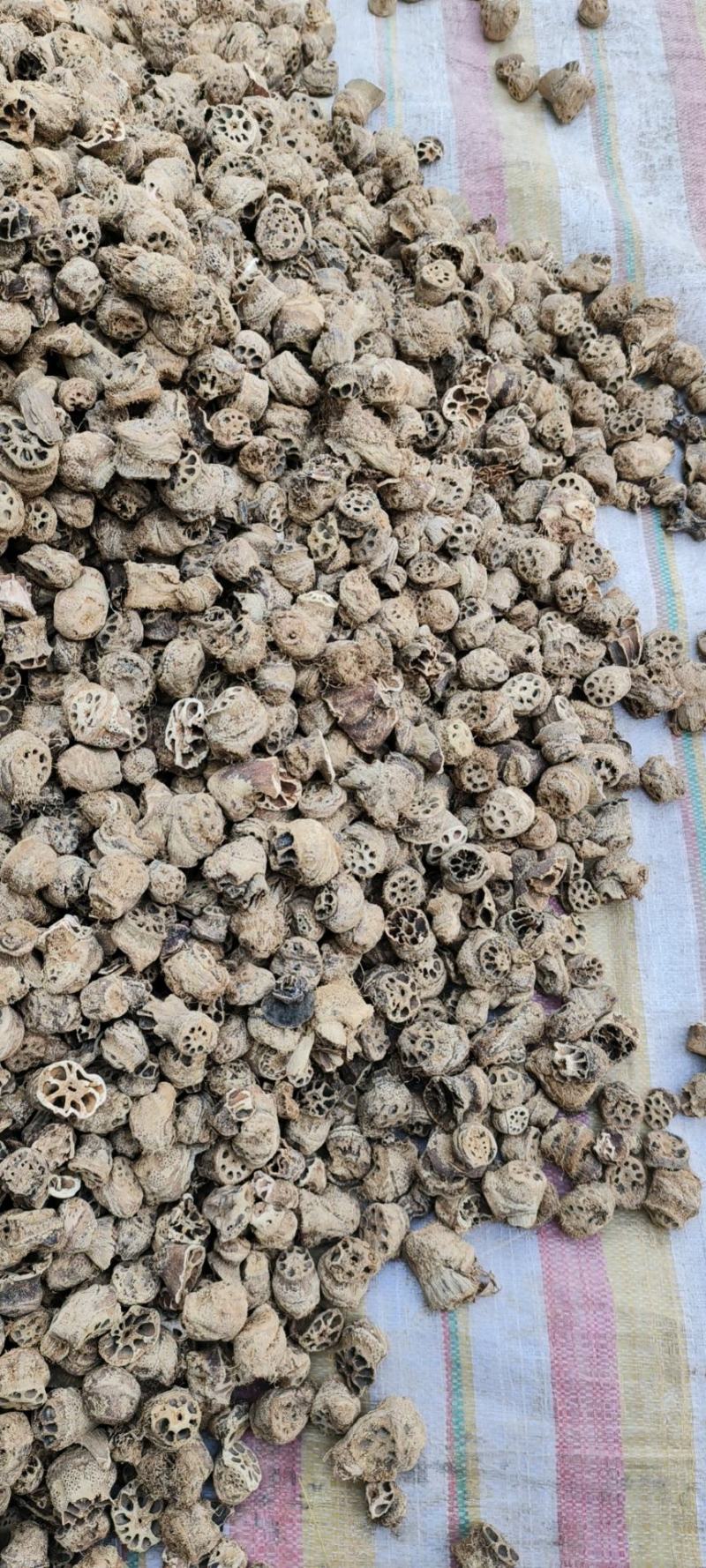 藕节干藕节产地直发量大从优一手货源冷背药材批发