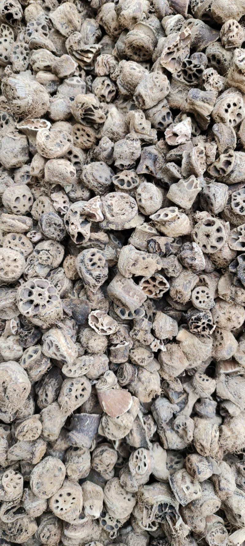 藕节干藕节产地直发量大从优一手货源冷背药材批发