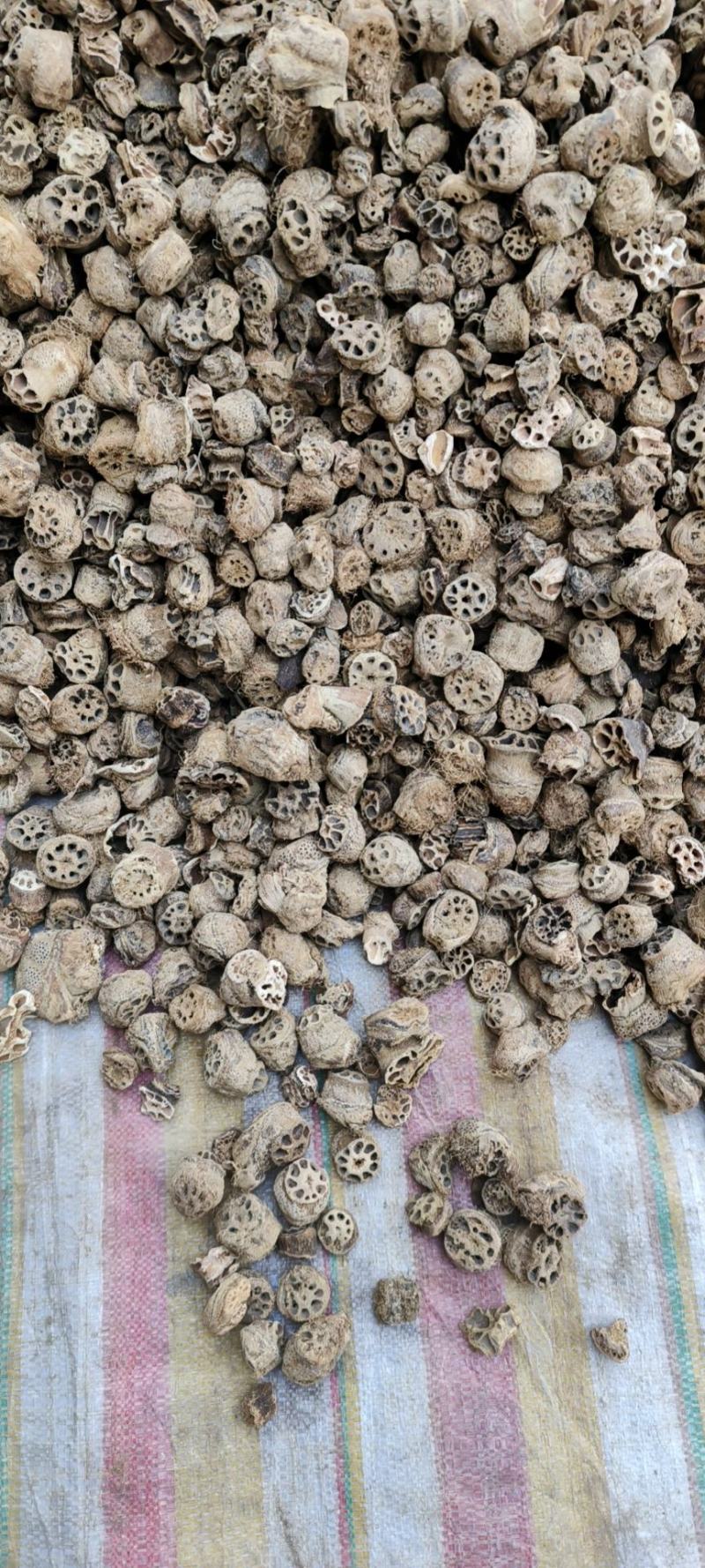 藕节干藕节产地直发量大从优一手货源冷背药材批发
