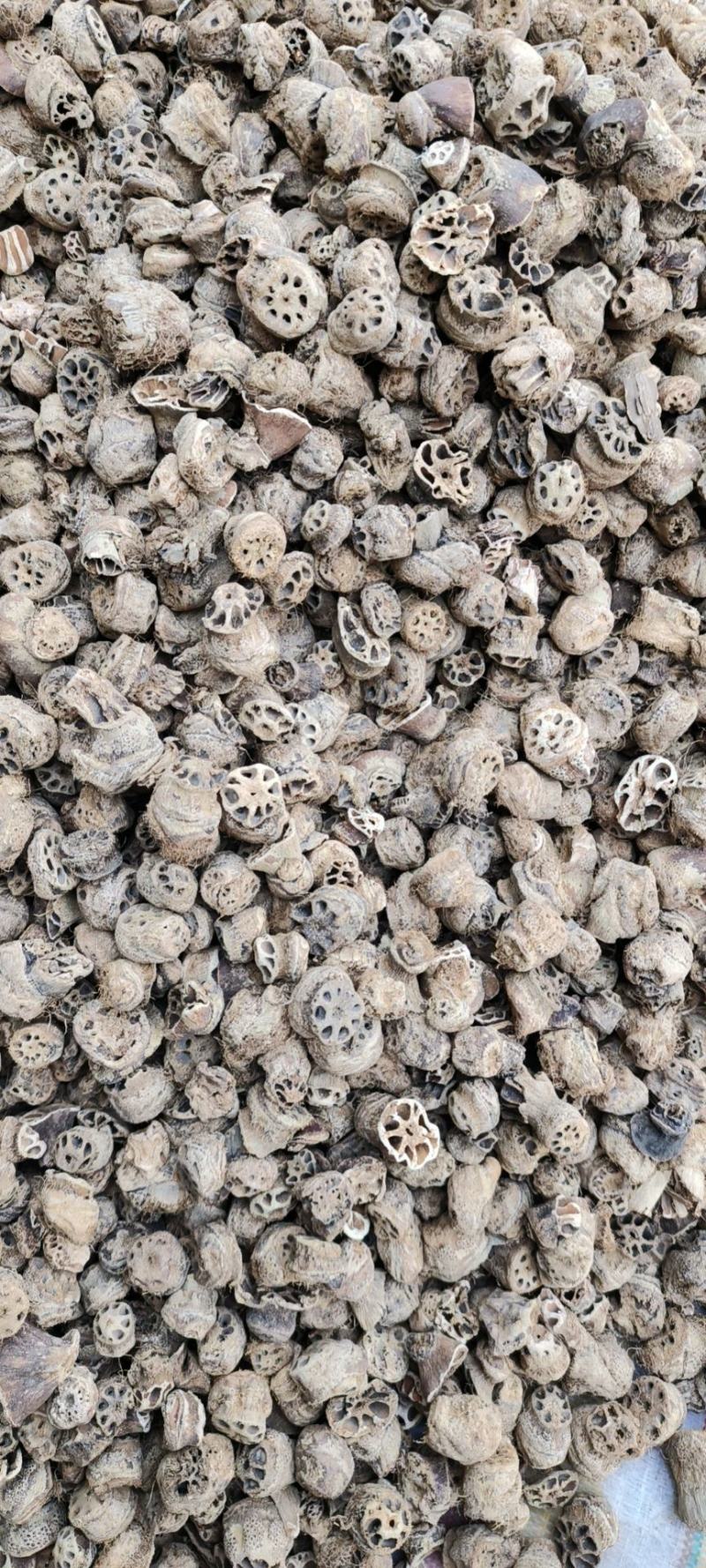 藕节干藕节产地直发量大从优一手货源冷背药材批发