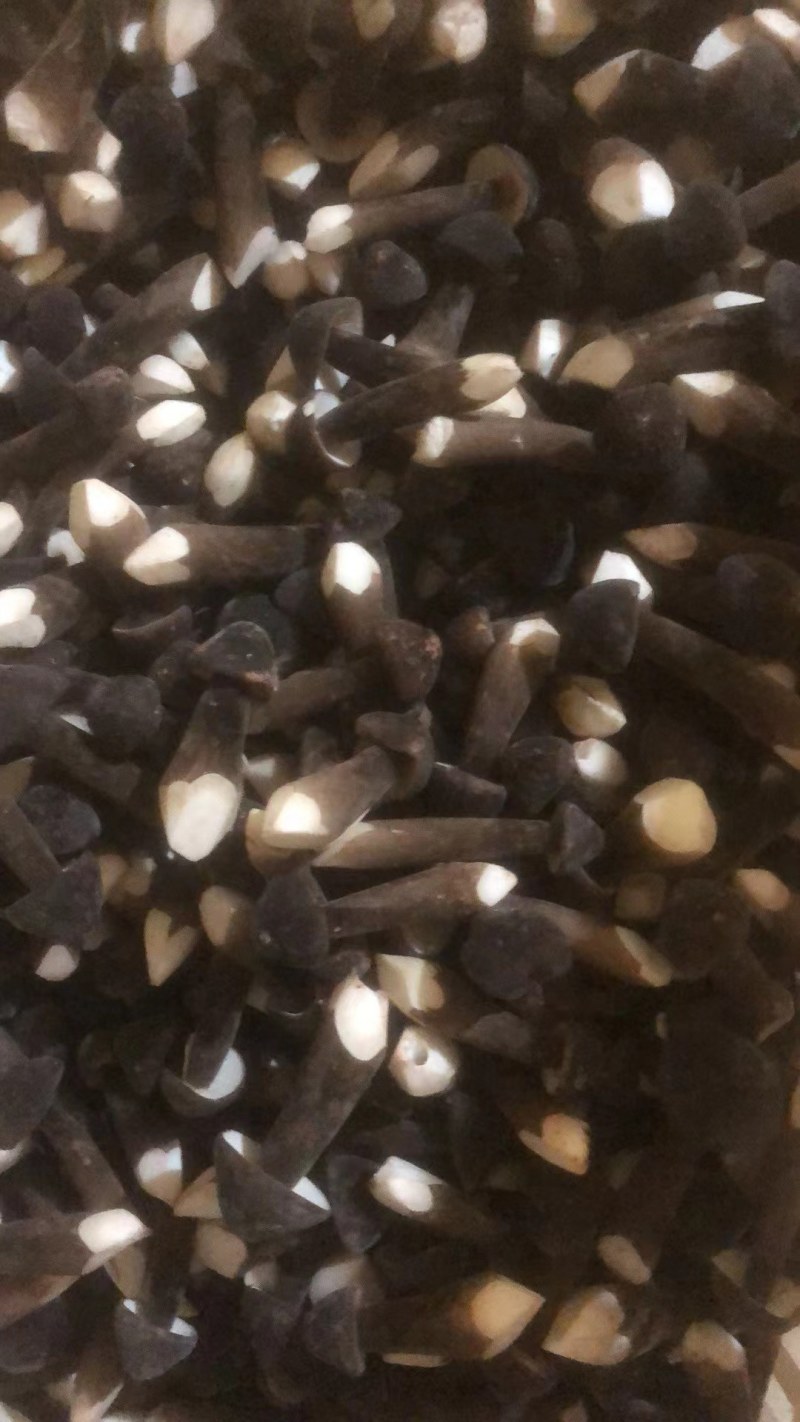 黑皮鸡菌