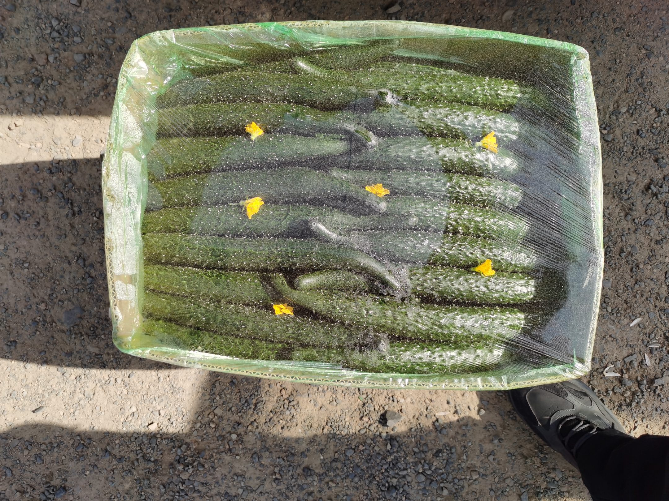香芹黄瓜汁成品图