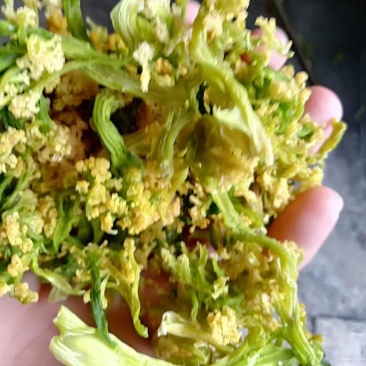 脱水有机花菜干花菜品质保证诚信经营一手货源欢迎采购