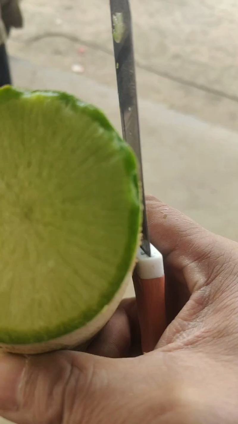 青萝卜1~1.5斤起冷库储存马上开始，大型冷库