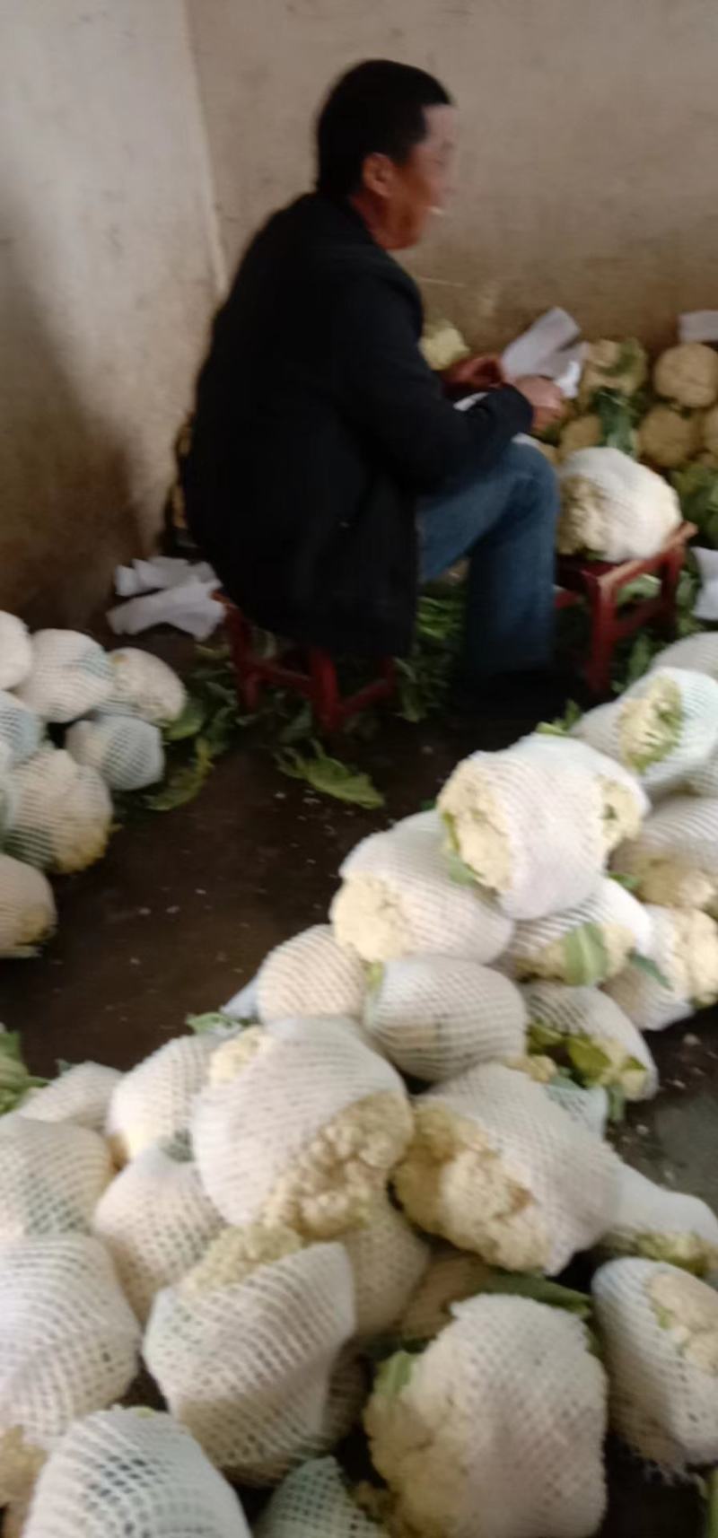 新上汉中有机菜花花面白无根，露天有机花，口感脆嫩