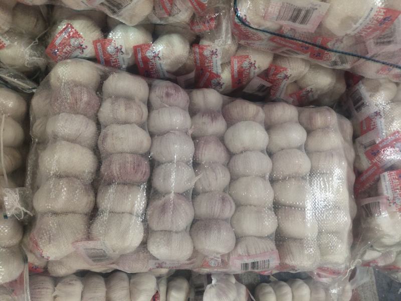 邳州优质净蒜干蒜白皮蒜精品小包装供货中量大从优