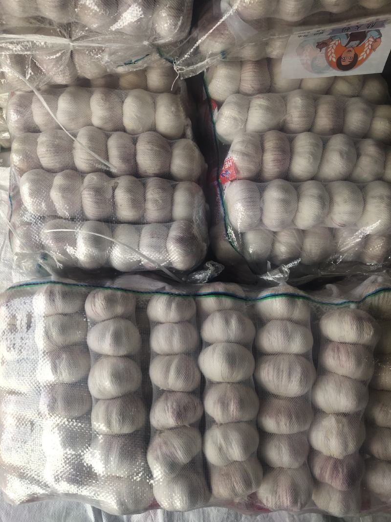 邳州优质净蒜干蒜白皮蒜精品小包装供货中量大从优