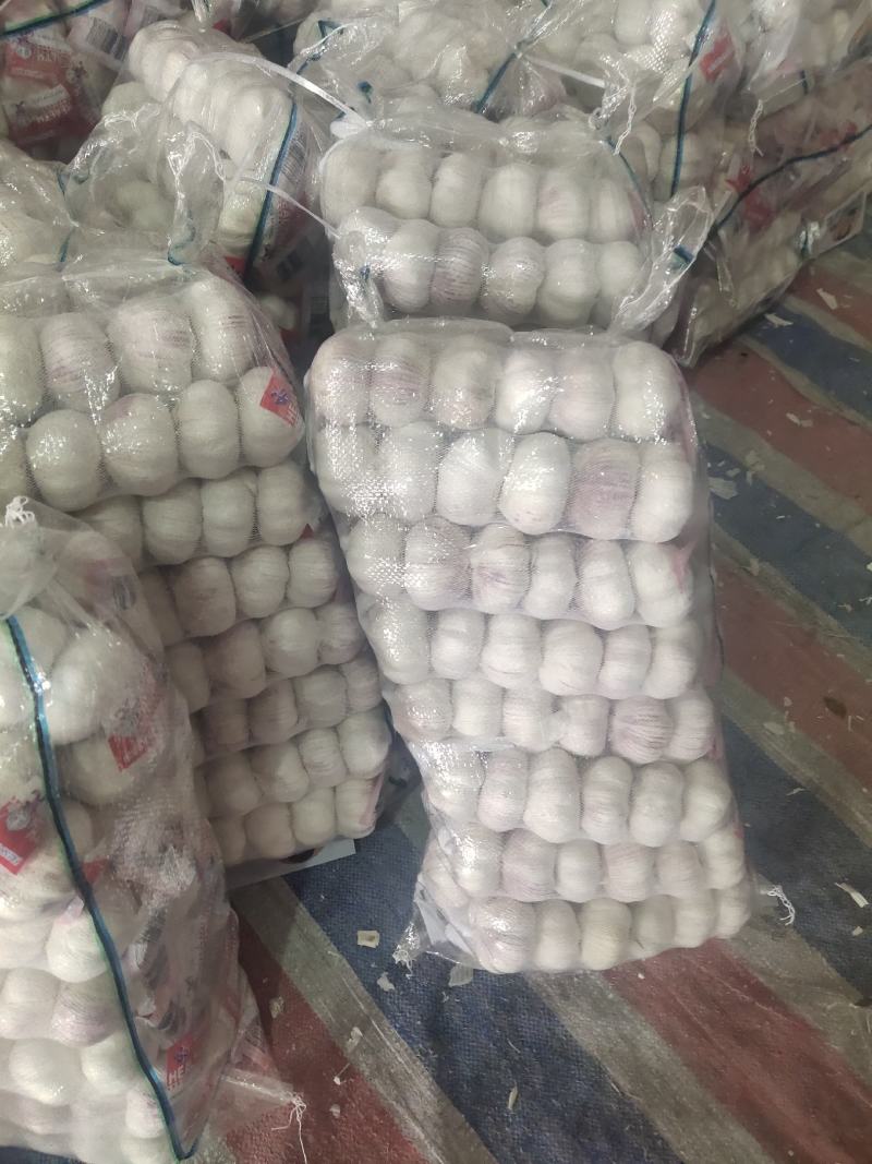 邳州优质净蒜干蒜白皮蒜精品小包装供货中量大从优
