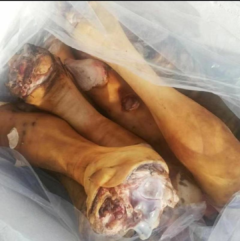 贵州土黄牛牛蹄