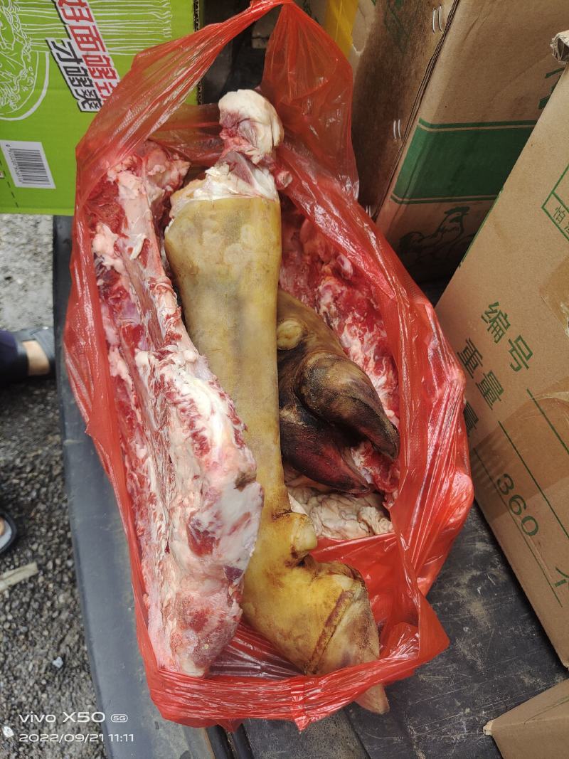 贵州土黄牛牛蹄