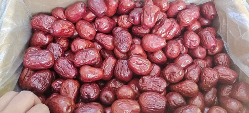 瓜州精品俊枣精品灰枣有需要的老板联系