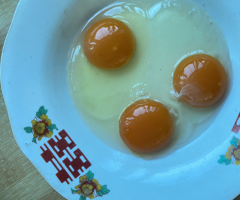 自家农场笨鸡蛋批发零售