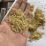 豆粕小料，源头产品，产量高质量稳定，欢迎咨询