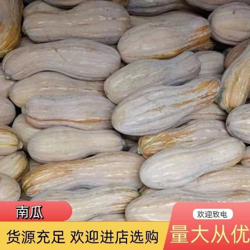 金韩蜜本南瓜市场超市电商老南瓜加工厂养殖场大南瓜