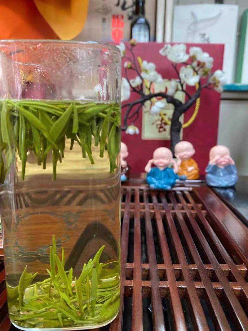 陕西安康紫阳明前绿茶紫阳银针茶散装礼盒装