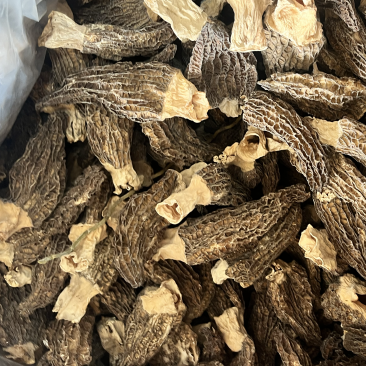 云南野生菌羊肚菌个大肉厚菌味浓价格实惠