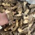 云南野生菌羊肚菌个大肉厚菌味浓价格实惠