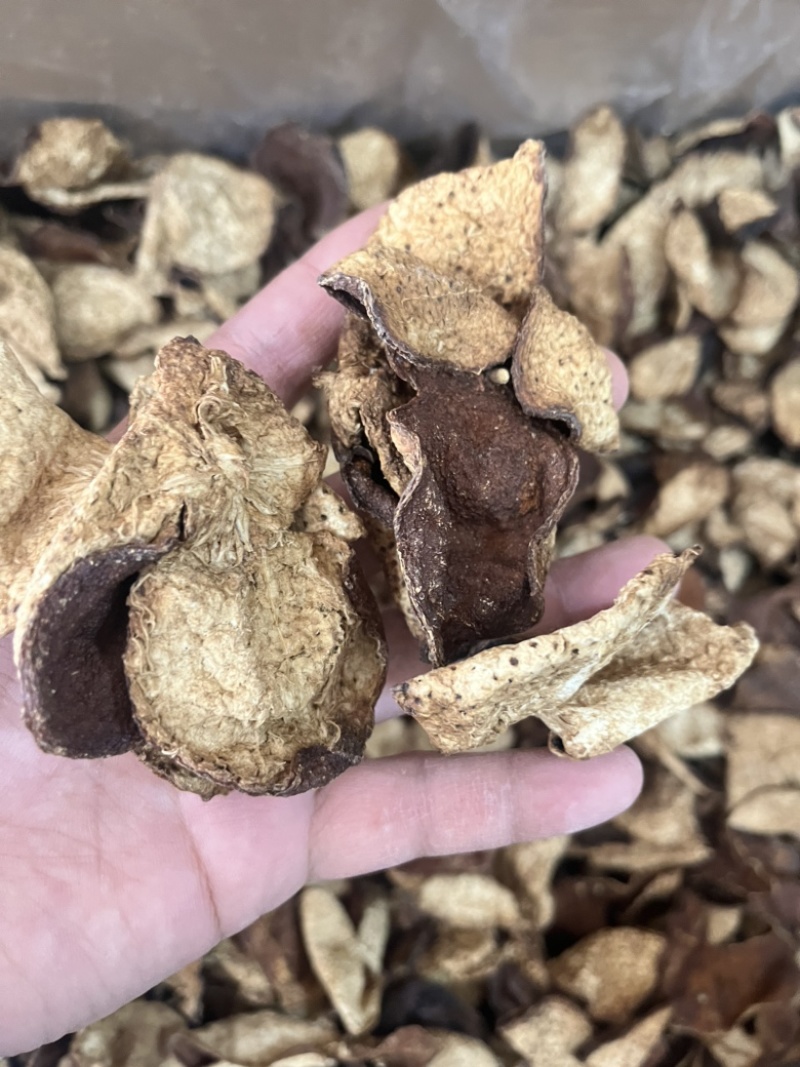 5年老陈皮新会陈皮味浓香味浓泡水喝颜色好老陈皮