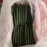 山东密刺黄瓜产地直发品质保证一手货源量大从优