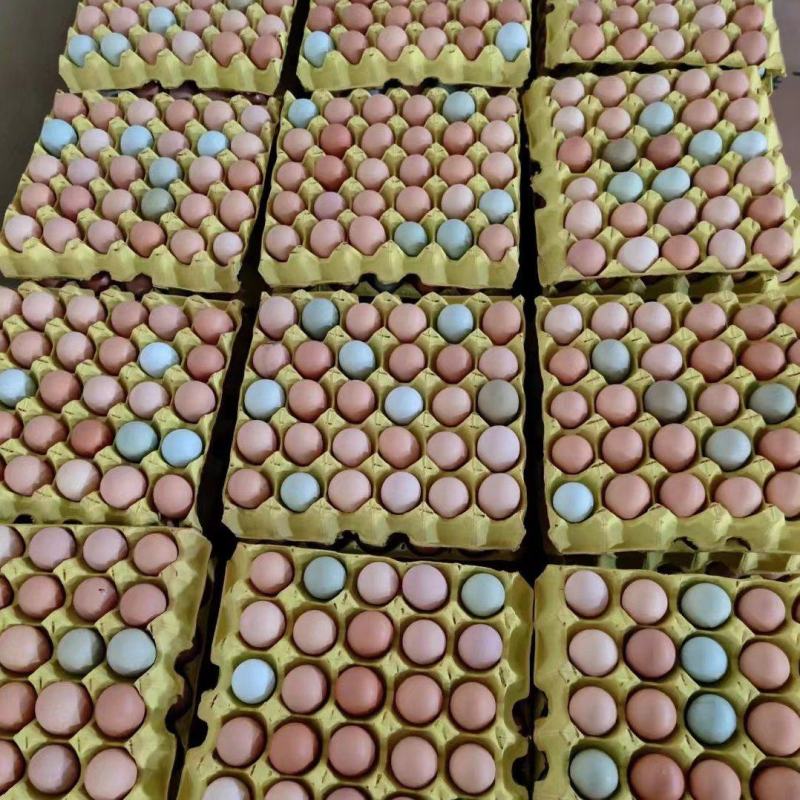 420枚双色加香彩蛋，蒸炒煮蛋黄金黄色，口感香醇质量保证