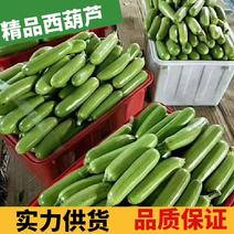 【全国发货】精品西葫芦，现摘现发，保质保量量大从优