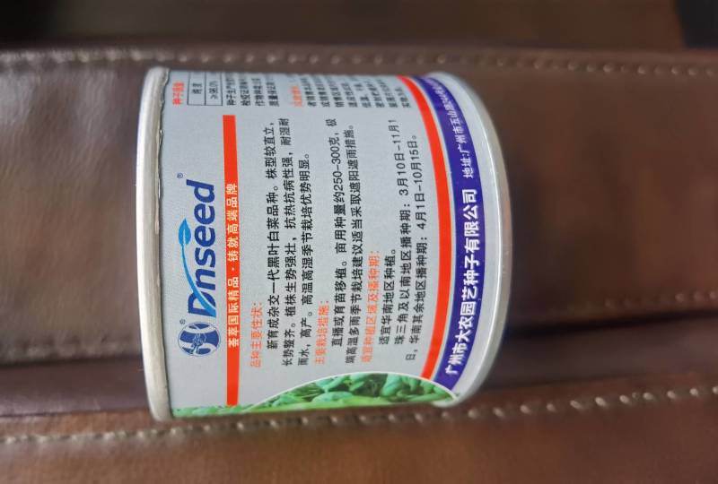盛夏五号黑叶白菜种子较抗热抗病较耐雨水株型直立漂亮