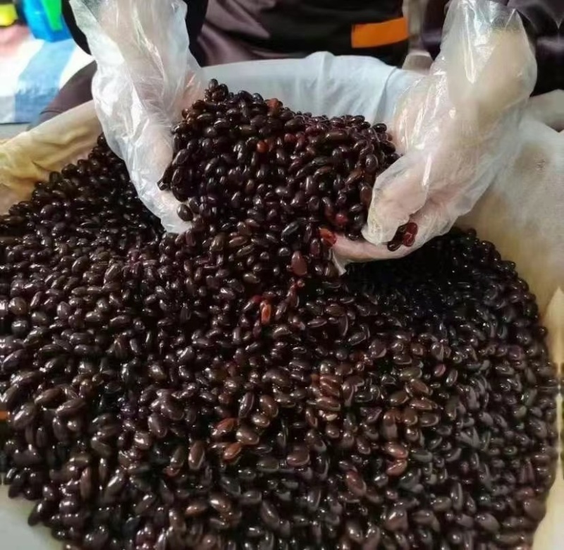 客家传统火灸黑豆糯米酒黄酒客家甜酒月子酒