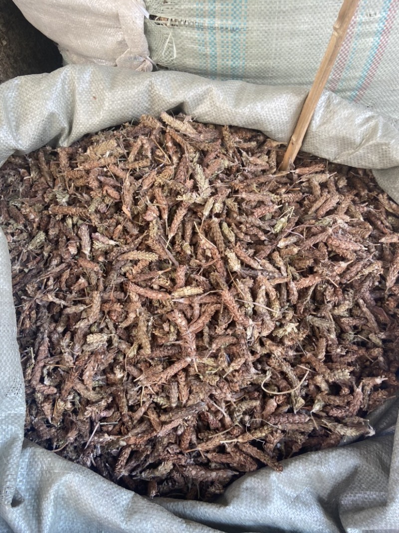 夏枯球中药材干净无硫白毛夏枯球新鲜野生正品清热