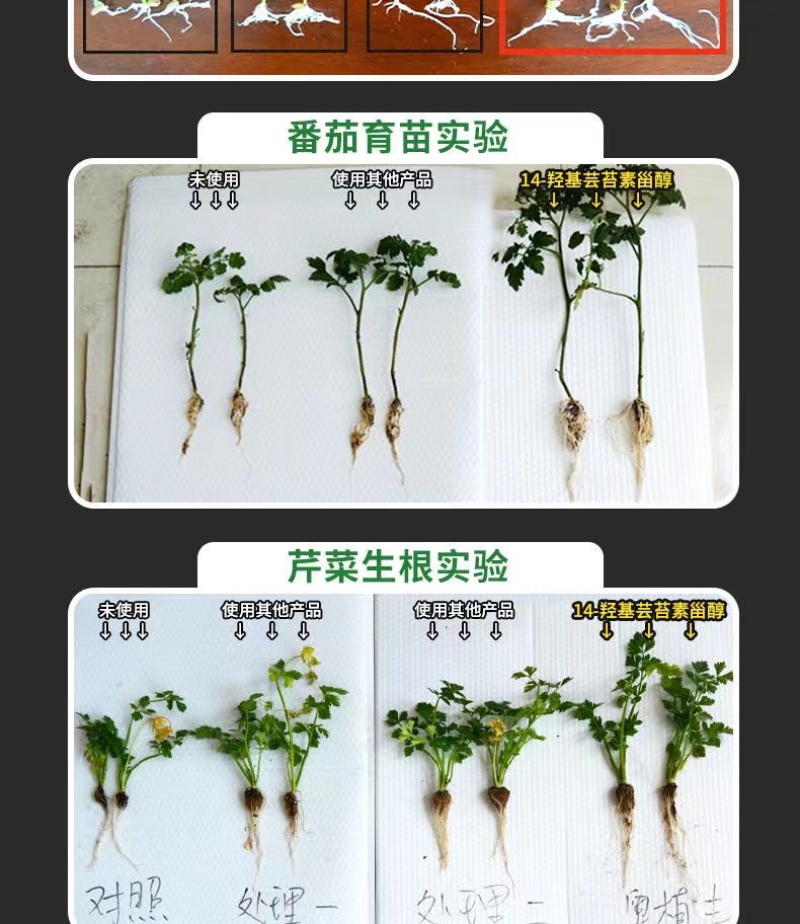 奥丰14羟基天然芸苔素调节生长保花保果增产必备