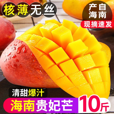 海南芒果精品贵妃芒大量供货产地直供一件代发