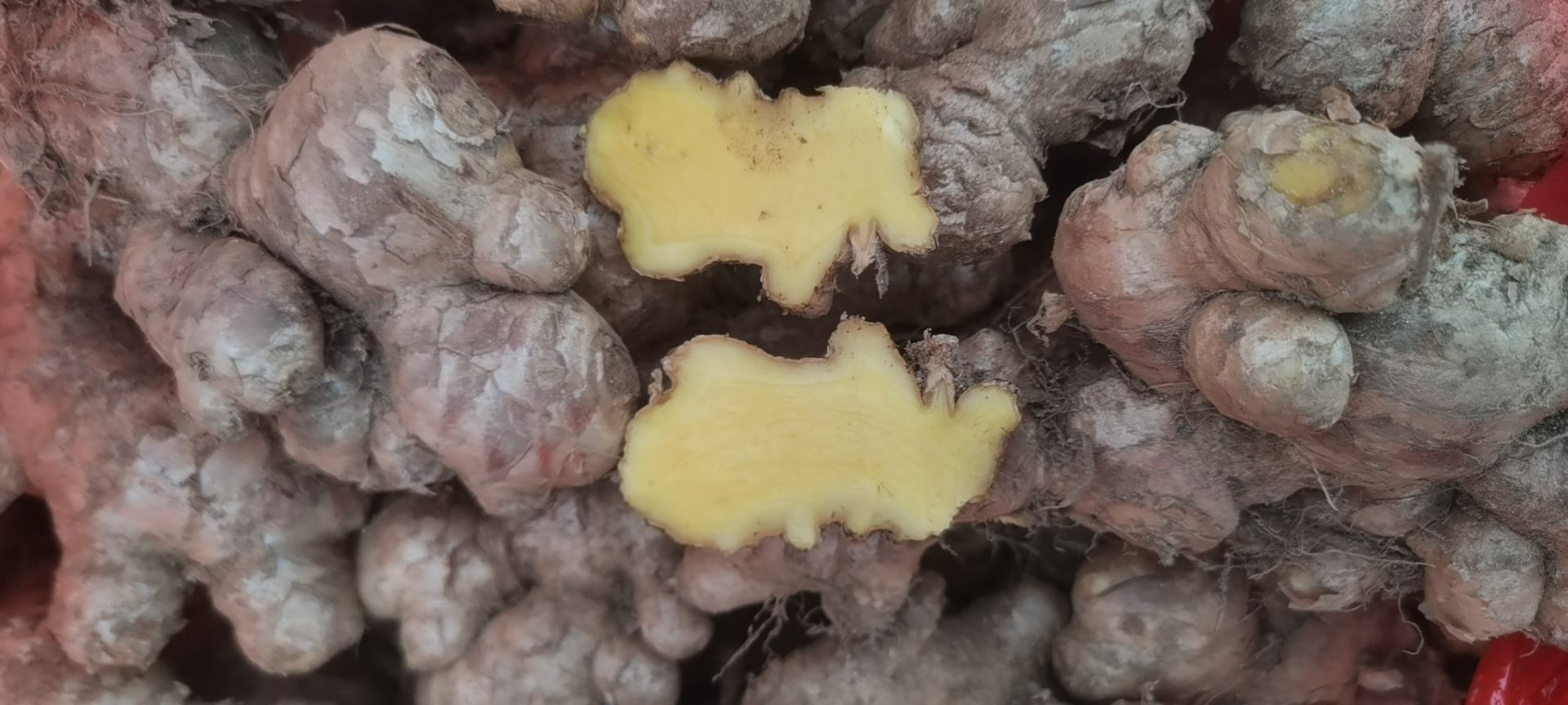 大黄姜烹饪示意图