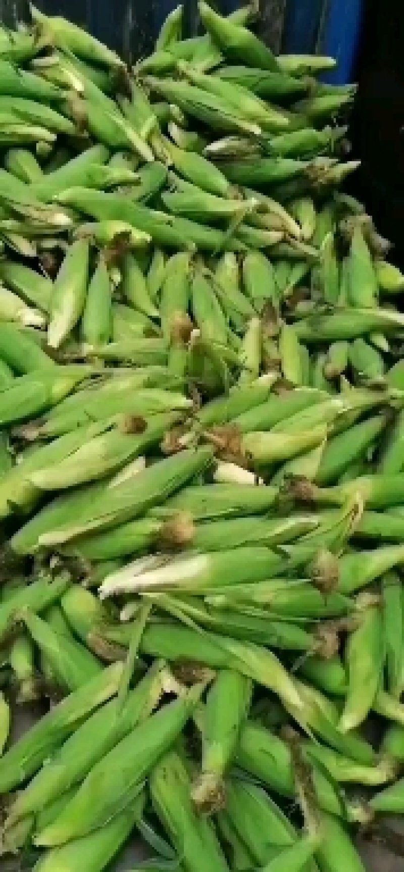 蔬菜，水果，新鲜玉米