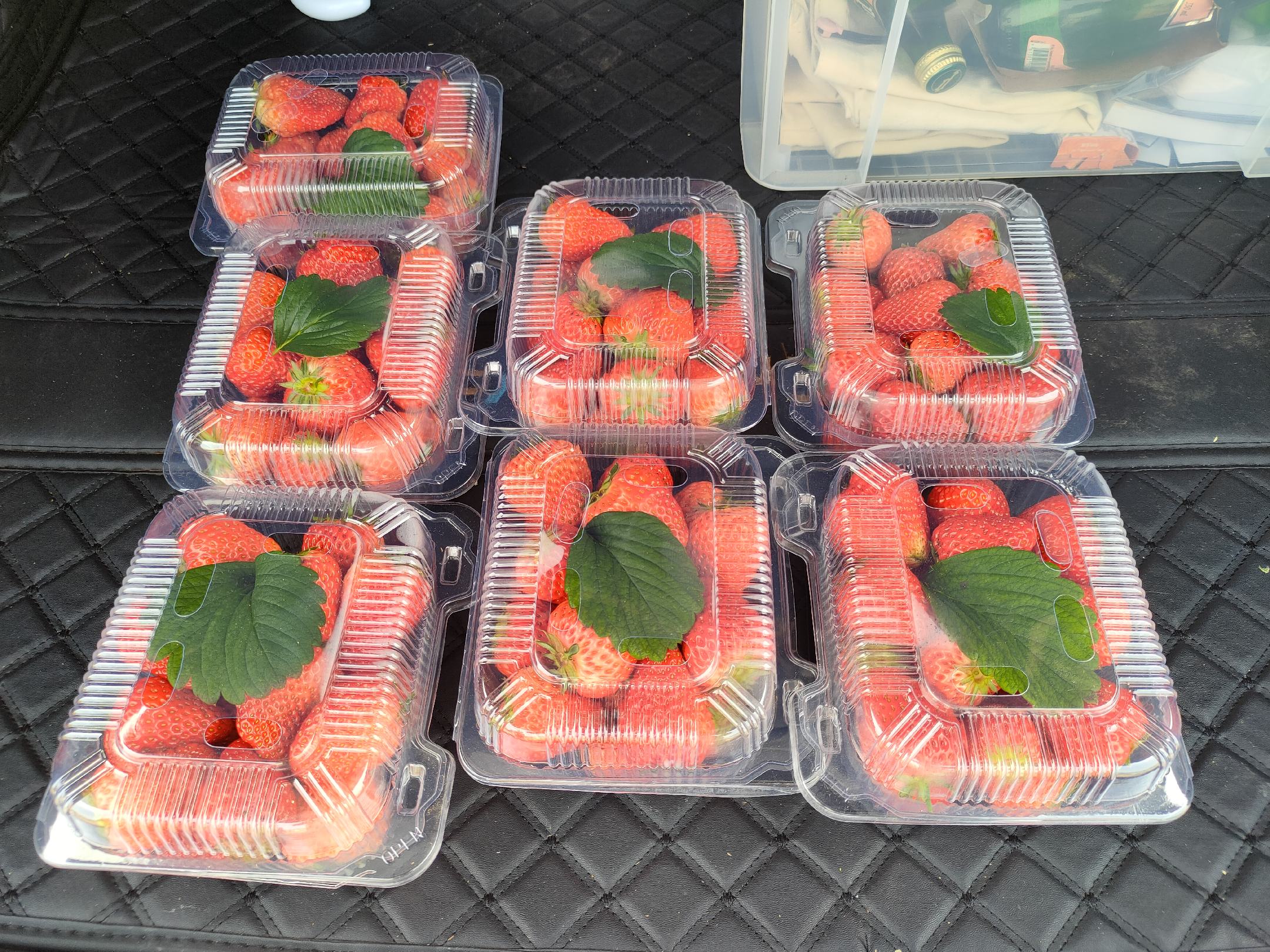 展示草莓与吸水纸一同存放在透明塑料盒中的效果 草莓与吸水纸一同存放在透明塑料盒中