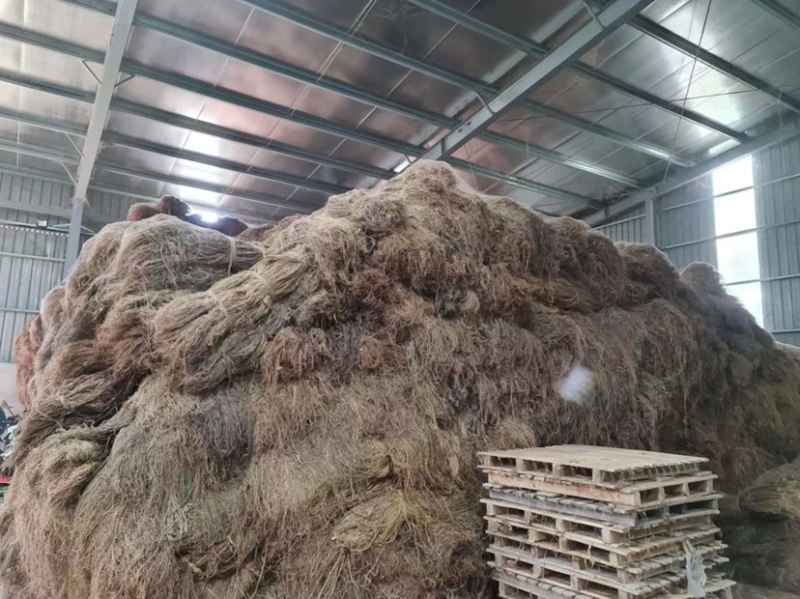 越南进口苎麻