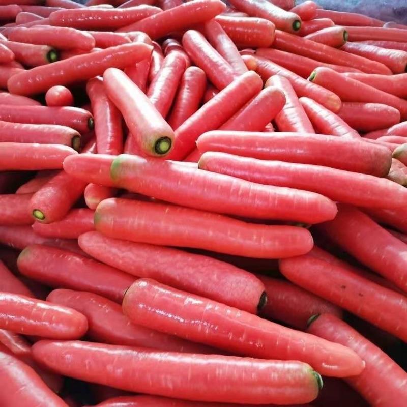 【店长推荐】大荔称秆水洗红萝卜，大量供应。货源充足