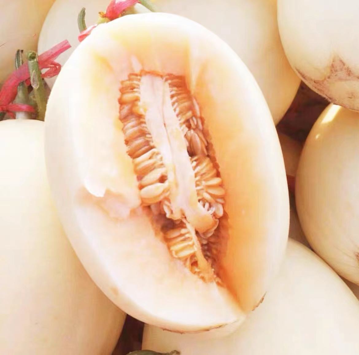 红金蜜甜瓜整体外观展示