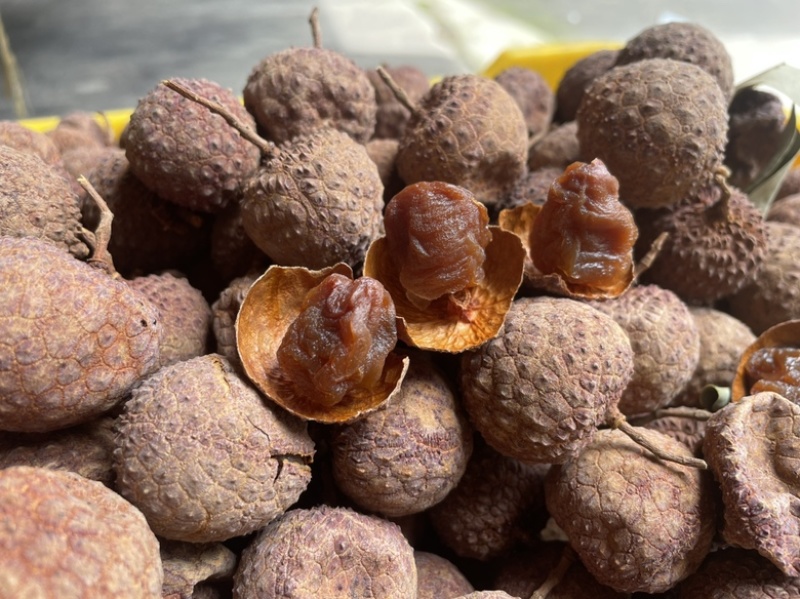 广西桂平麻垌荔枝干