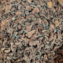 榛蘑胖丁，个个剪根，长白山新货味道香，产地一手货源