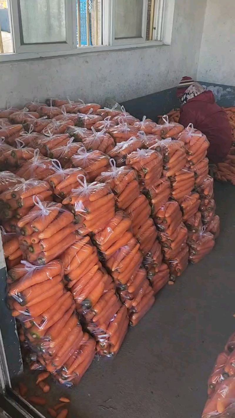 精品三红胡萝卜产地大量供应电商平台超市全国发货