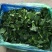 苏北青菜苔，青菜心，产地货源，代发全国，质量上乘