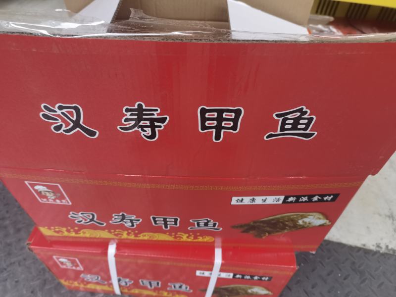 冷冻甲鱼中华鳖汉寿甲鱼1-22-4