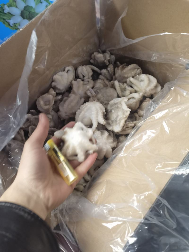 八爪鱼盐磨八爪鱼章鱼须