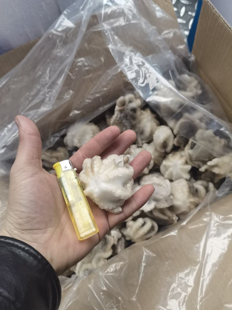 八爪鱼盐磨八爪鱼章鱼须