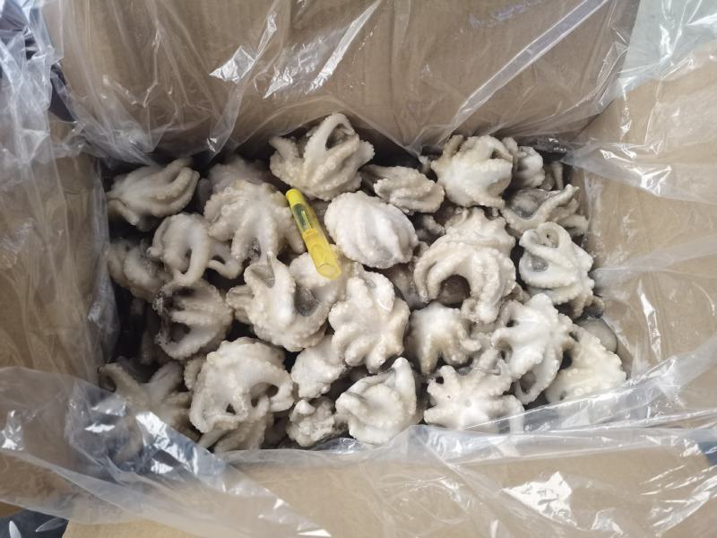 八爪鱼盐磨八爪鱼章鱼须