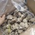 八爪鱼盐磨八爪鱼章鱼须