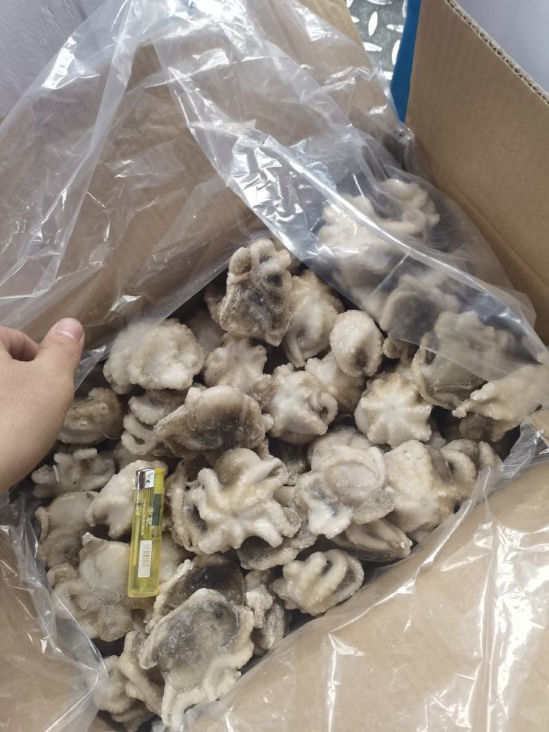 八爪鱼盐磨八爪鱼章鱼须